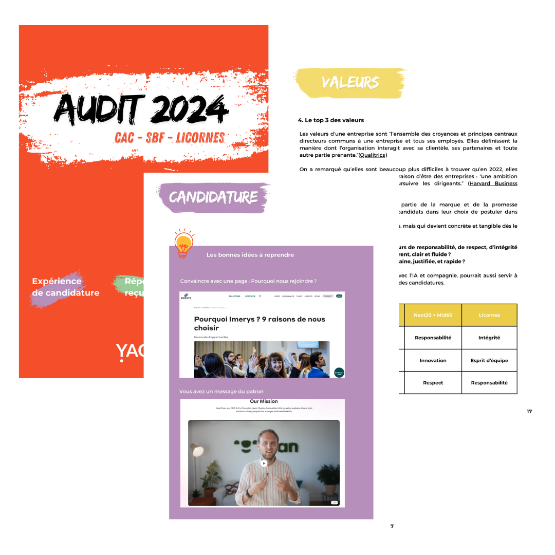 rs audit 2024 (7)